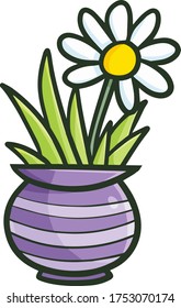 Funny and cute beautiful white flower in purple stripes pot