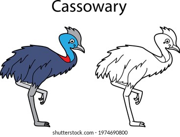 Funny cute bird cassowary isolated on white background. Linear, contour, black and white and colored version. Illustration can be used for coloring book and pictures for children