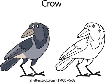 Funny cute bird crow isolated on white background. Linear, contour, black and white and colored version. Illustration can be used for coloring book and pictures for children