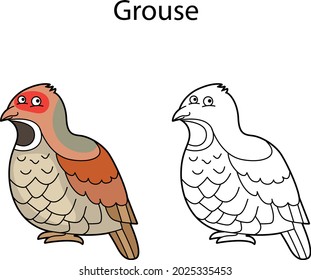 Funny cute bird grouse isolated on white background. Linear, contour, black and white and colored version. Illustration can be used for coloring book and pictures for children