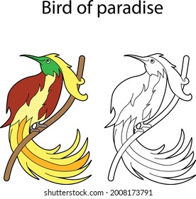 Funny cute bird 
isolated on white background. Paradise bird. Linear, contour, black and white and colored version. Illustration can be used for coloring book and pictures for children