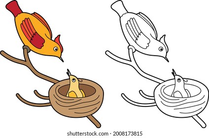 Funny cute bird 
isolated on white background. Paradise bird. Linear, contour, black and white and colored version. Illustration can be used for coloring book and pictures for children