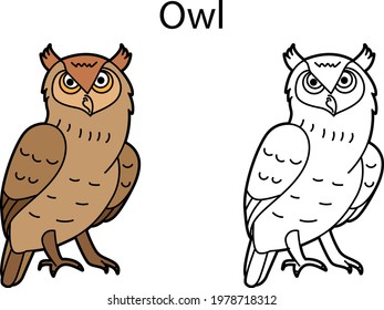 Funny cute bird owl isolated on white background. Linear, contour, black and white and colored version. Illustration can be used for coloring book and pictures for children