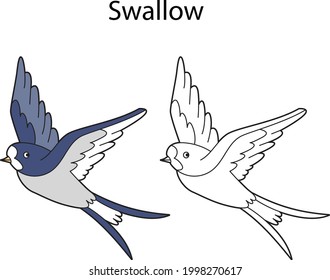 El divertido trago de pájaro lindo aislado de fondo blanco. Versión lineal, de contorno, en blanco y negro y en color. La ilustración puede utilizarse para colorear libros e imágenes para niños