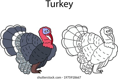 Funny cute bird turkey isolated on white background. Linear, contour, black and white and colored version. Illustration can be used for coloring book and pictures for children