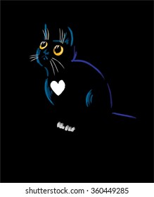 Funny cute black cat on black
