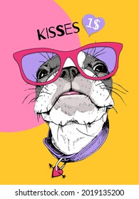 Funny cute Boston Terrier in the sunglasses. Bright humor card, t-shirt composition, hand drawn style print. Vector illustration.