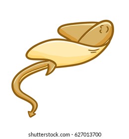 Funny and cute brown stingray fish swimming happily - vector.