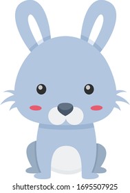 Funny and cute bunny rabbit