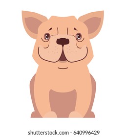 Funny cute cartoon beige french bulldog sitting with smiling muzzle isolated flat vector. Lovely purebred pet illustration for animal friends and companions concepts, pet shop ad