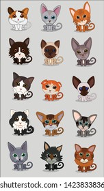 Funny and cute cartoon Cat different breeds pet characters Vector set.