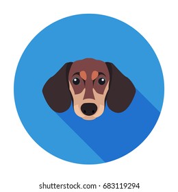 Funny cute cartoon dachshund head in color circle flat vector isolated on white background. Lovely purebred pet illustration for animal friend concept, shop or veterinary clinic ad