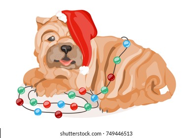 Funny and cute, cartoon, flat shar pei dog, puppy in Santa hat laying down surrounding by Christmas lights