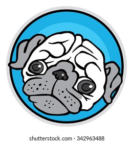 funny cute cartoon pug - puppy's head isolated on a white background