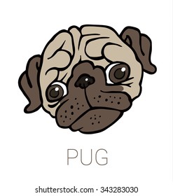 funny cute cartoon pug - puppy's head isolated on a white background