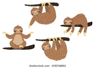 Funny and cute cartoon sloth bear graphic design.
