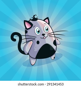 Funny and cute cat