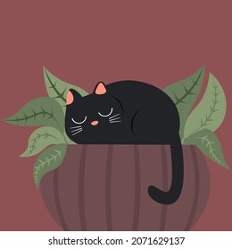 Funny cute cat climbed into a pot of homemade flowers and fell asleep. Living with pets. Flat vector illustration