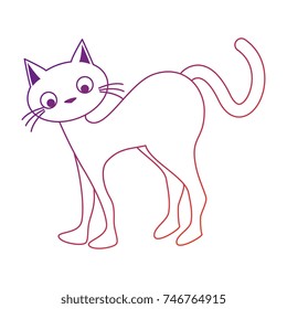 funny cute cat icon