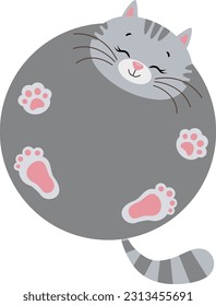 Funny cute cat with round body