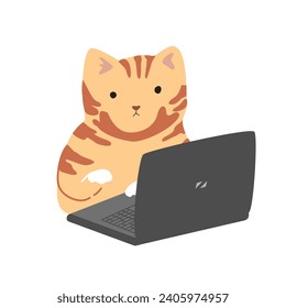 Funny cute cat is working at a laptop. IT engineer symbol, programmer sticker for cards and t-shirts. Isolated vector illustration.