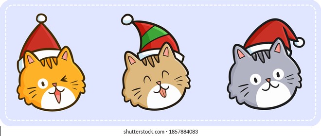 Funny and cute cat's expression for christmas celebration
