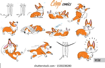 Funny, cute Corgi and cat to create comics. Character, cartoon, plot.