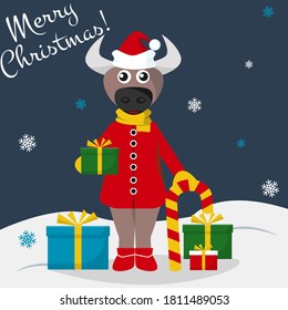 Funny cute cow in red dress New Year's Eve gives gifts  The bull is the symbol the year   It can be used as an poster  banner  postcard  greeting the New Year  Christmas  Vector illustration 
