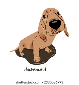 Funny cute dachshund in flat cartoon style. Vector illustration isolated on white background
