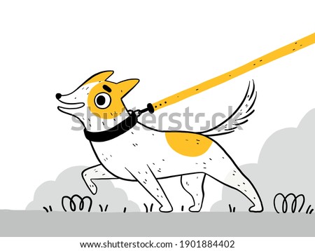 Funny cute dog in a black collar for a walk in the park. The puppy pulls the leash and does not obey the owner