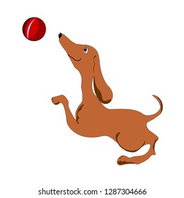 Funny cute dog playing with a ball. My best friend. Vector illustration