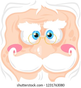 Funny and cute face of Santa Claus with gold eyeglasses, vector illustration of big face