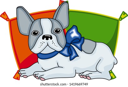 Funny cute french bulldog with blue bow