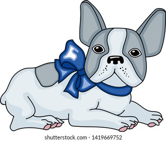 Funny cute french bulldog with blue bow