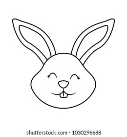 funny cute head rabbit ears animal cartoon