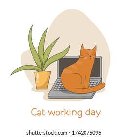 Funny cute illustration with a cat who is sitting on a laptop. The difficulty of working at home. Home office with a cat. Vector illustration on a white background.