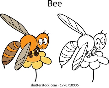 Funny cute insect bee isolated on white background. Linear, contour, black and white and colored version. Illustration can be used for coloring book and pictures for children