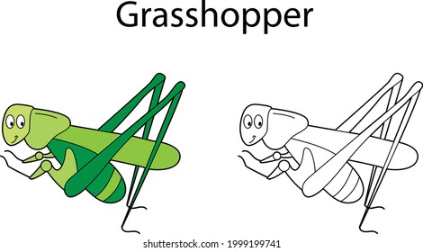 Funny cute insect grasshopper  isolated on white background. Linear, contour, black and white and colored version. Illustration can be used for coloring book and pictures for children