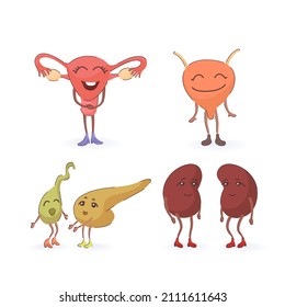 órganos internos graciosos y lindos, ilustración de órgano humano con cara, brazos y piernas, imagen de dibujos animados de partes anatómicas del cuerpo, útero, riñones, vejiga, vesícula biliar, páncreas