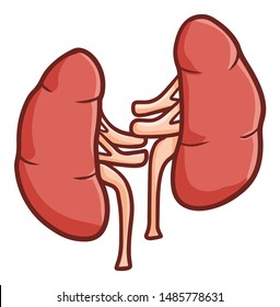 Funny and cute kidney in cartoon style for education picture