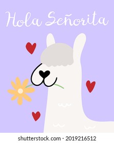 Funny and cute llama or alpaca with flower in teeth with text above Hola Senorita vector card or greeting