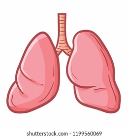 Funny and cute lungs - vector