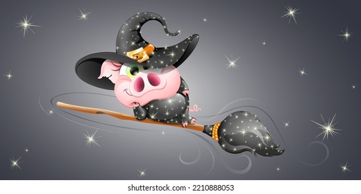 Funny cute lying on broom and flying on it cartoon witch pig. 