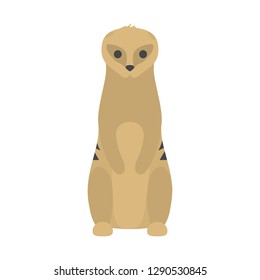 Funny cute meerkat. Wild desert animal from africa. Creature standing. Isolated flat vector illustration