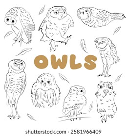 Funny and cute owls drawn in doodle technique. Vector illustration for greeting cards, posters, tags, invitations, wallpaper design and more.