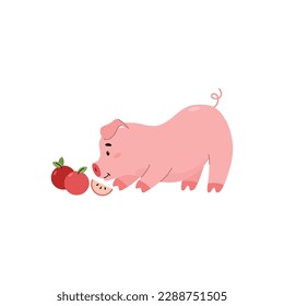 Funny and cute pig eats apples, cartoon flat vector illustration isolated on white background. Adorable farm animal drawing for kids designs. Cheerful pig playing with fruits.