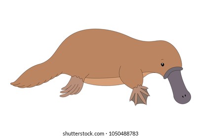 Funny cute platypus. Illustration for kids