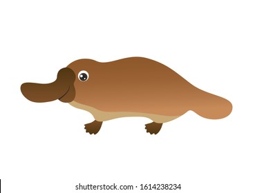 Funny cute Platypus isolated on white. Cartoon children character. Vector simple illustration of Australian animal.