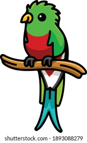 Funny Cute Quetzal Bird Vector Illustration