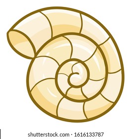 Funny and cute rounded shell on the beach